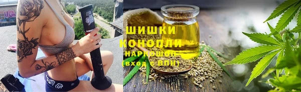 ECSTASY Дмитриев