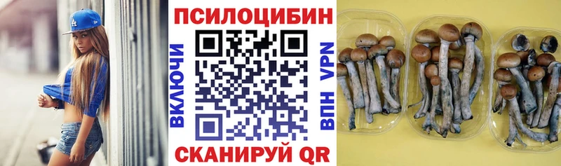 Купить  Майский  Галлюциногенные грибы мицелий 